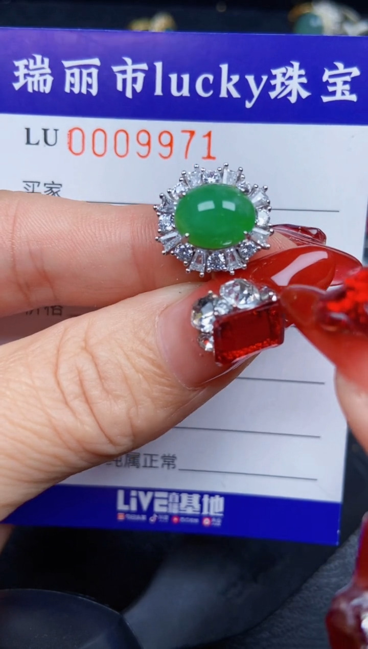 【闪购商品】翡翠颈饰银S925镶嵌9971