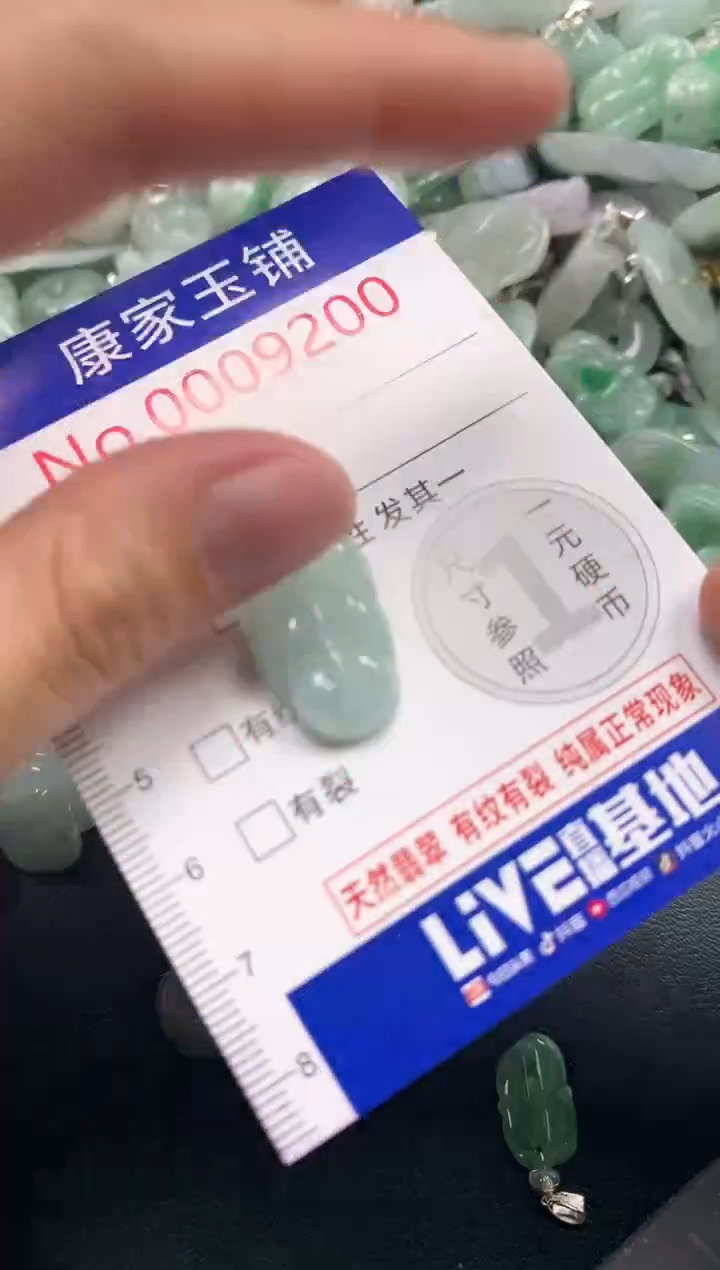 颈饰未镶嵌翡翠9200