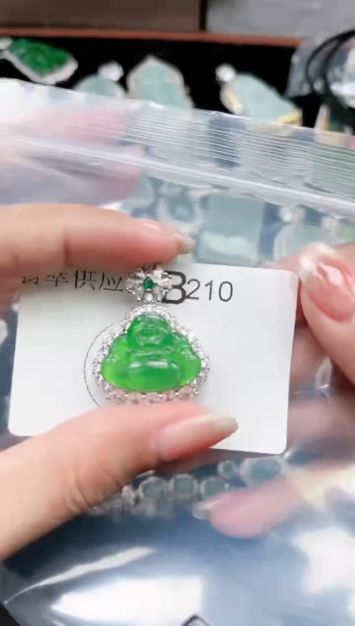 【闪购商品】翡翠颈饰未镶嵌210赠皮绳