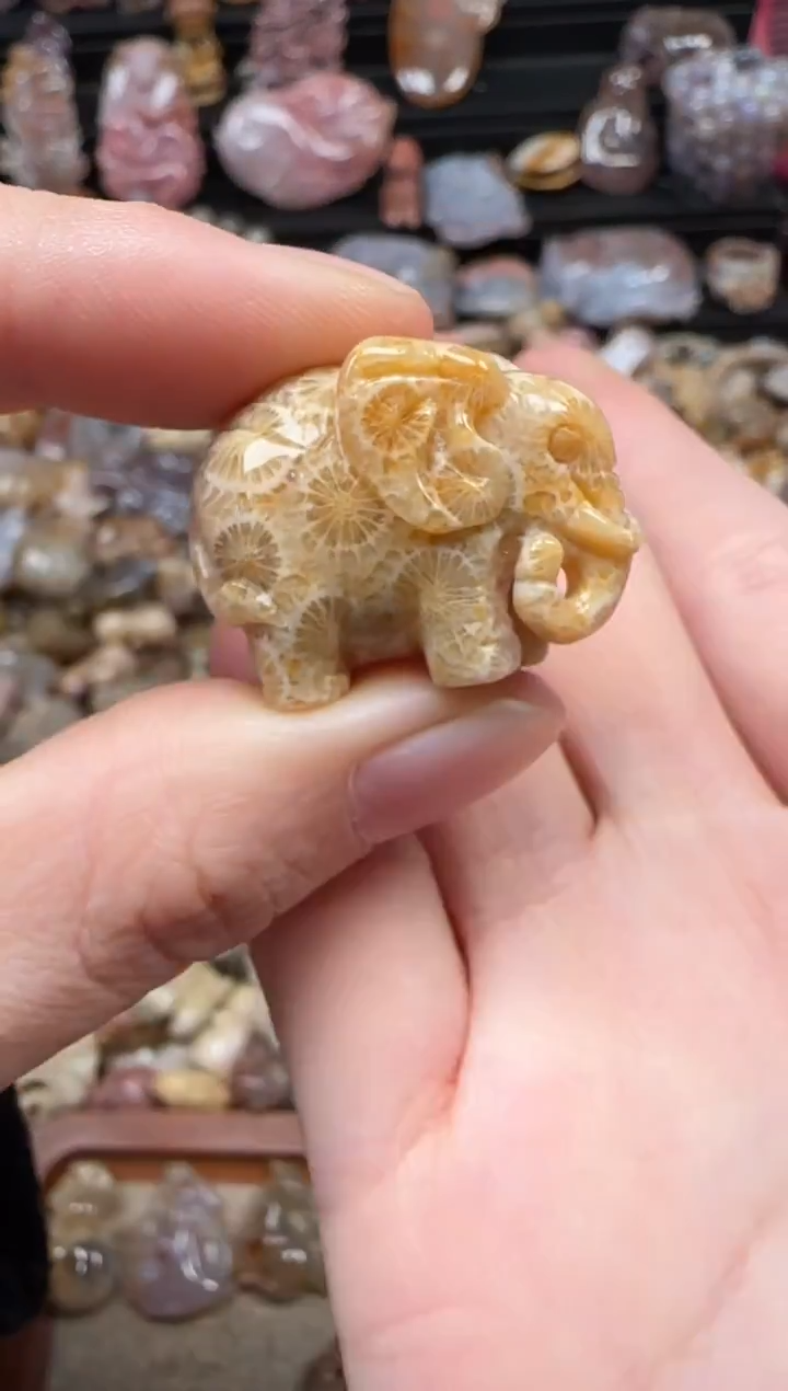 颈饰未镶嵌硅化珊瑚（珊瑚玉）182