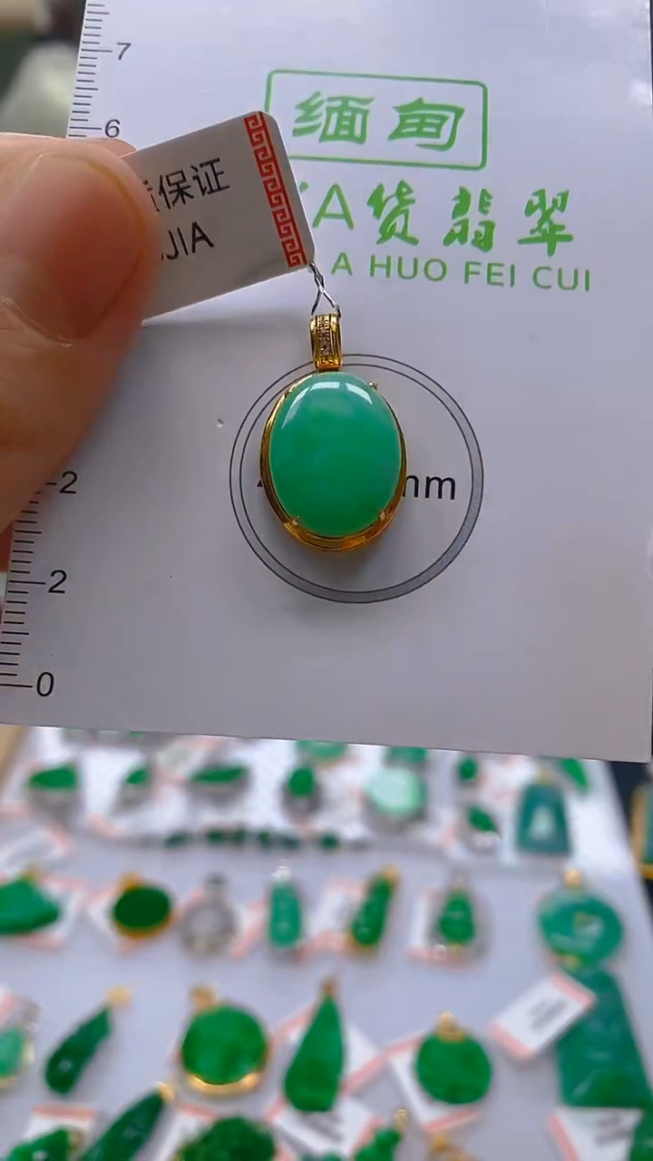 【闪购商品】翡翠颈饰18K金镶嵌新号开播，全场乱卖