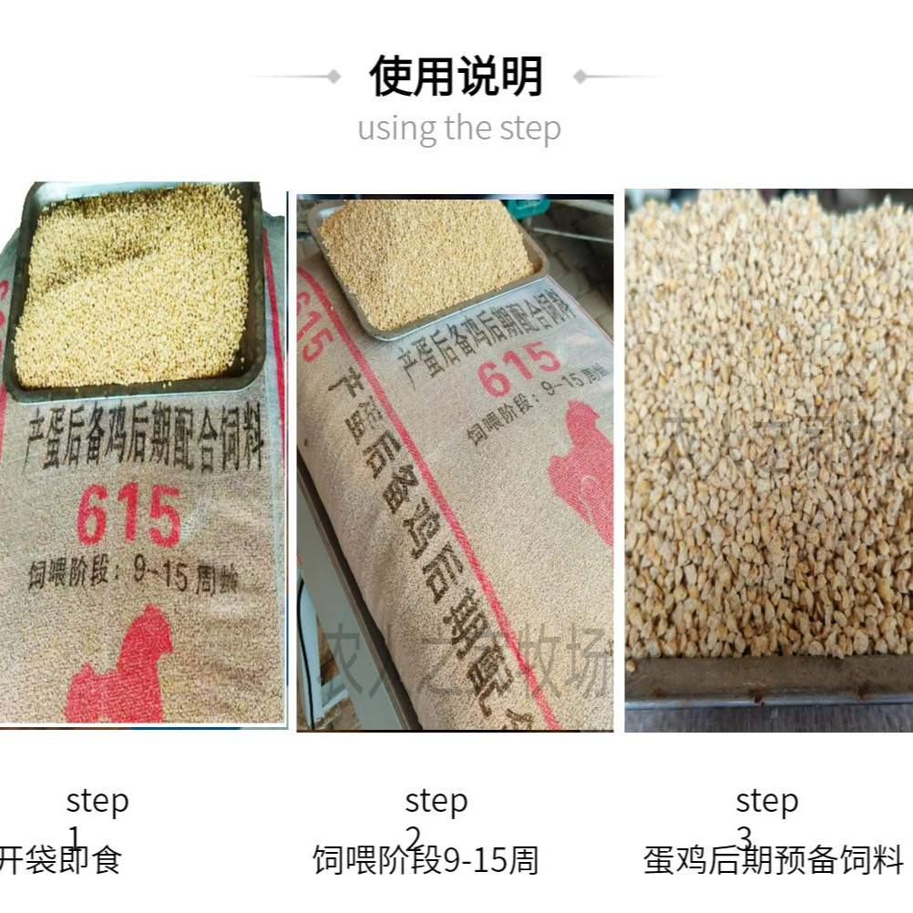 海蓝灰蛋鸡专用饲料