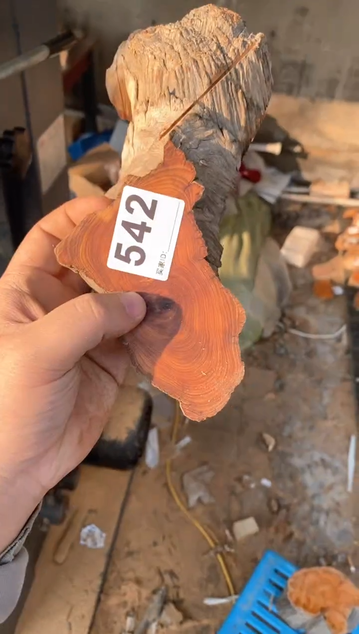 【闪购商品】柏木太行陈化崖柏（津诚林）切片