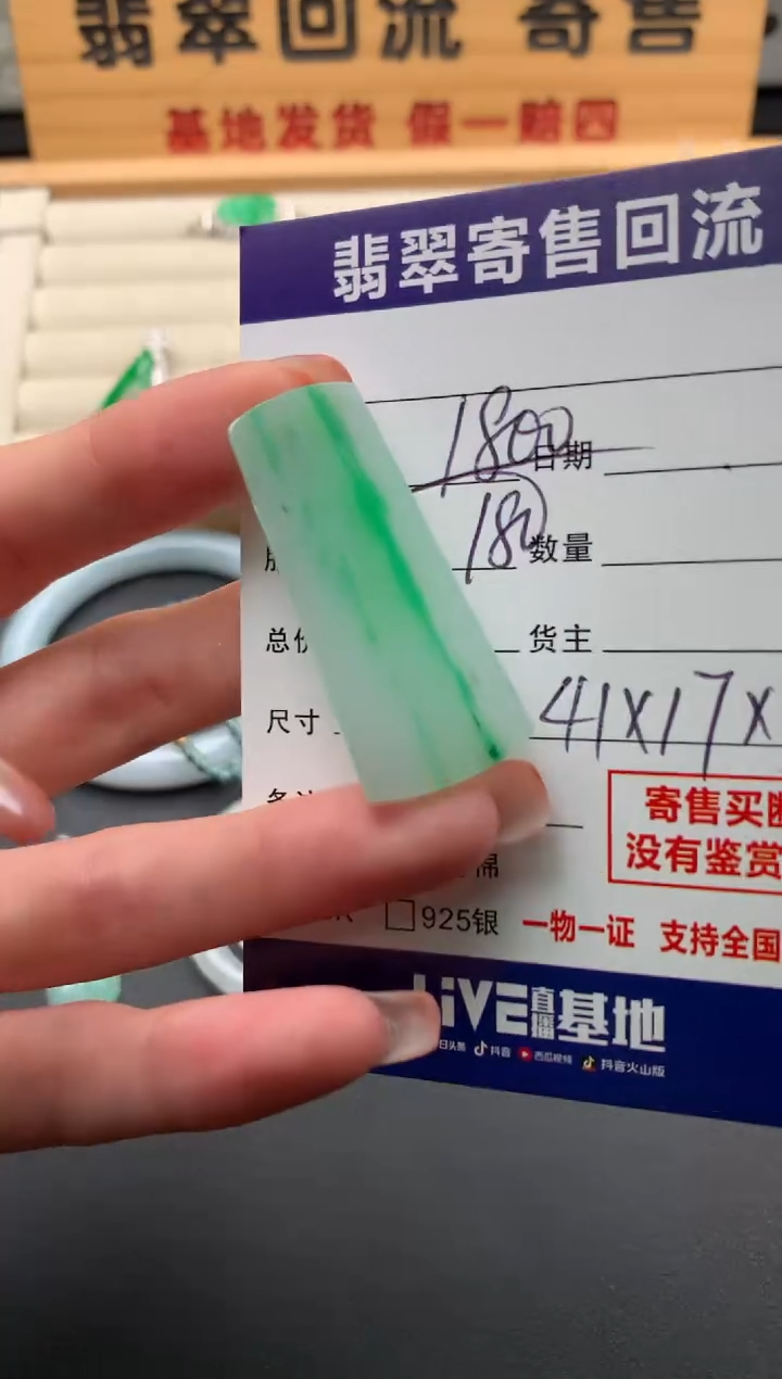 翡翠未镶嵌颈饰10141660