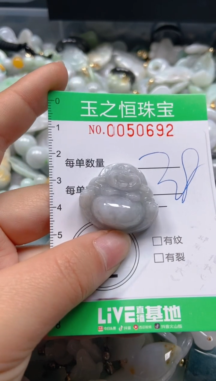 【闪购商品】翡翠颈饰未镶嵌闪购0050692