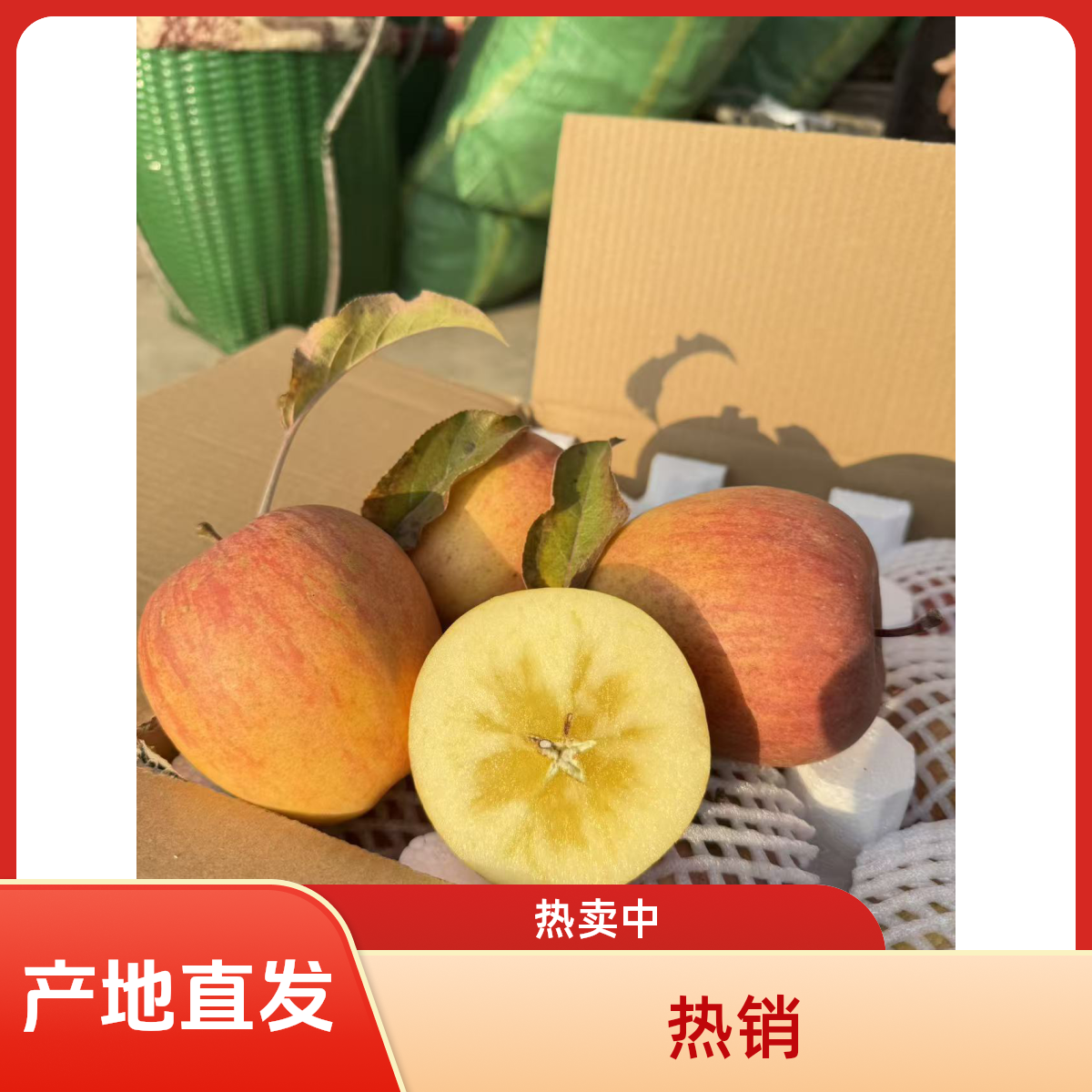 云南昭通冰糖心条纹苹果产地直发