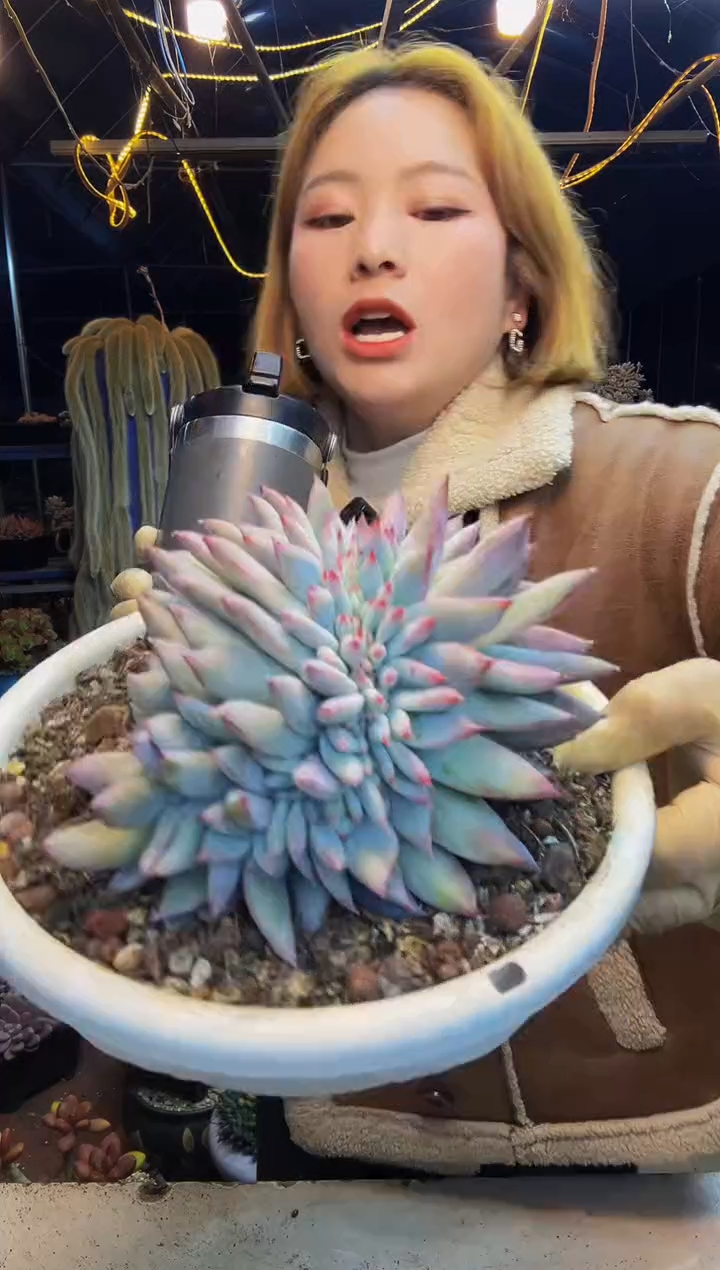 商****坊卡缀一物一拍商城