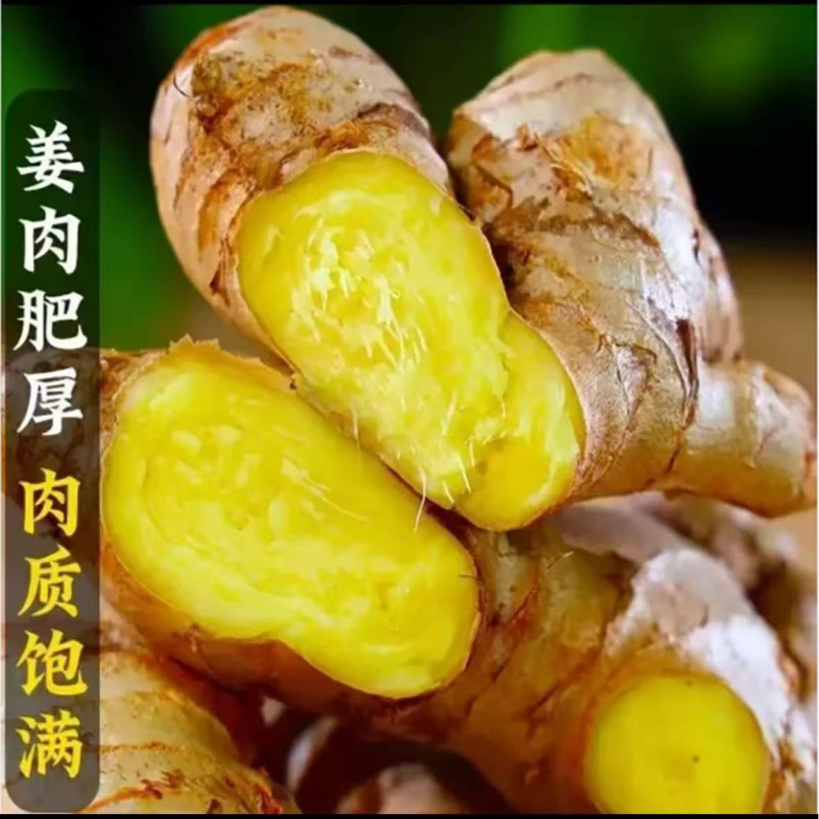 【同城送货上门】自家种植辣姜黄肉姜猪脚姜姜撞奶必备特级靓姜