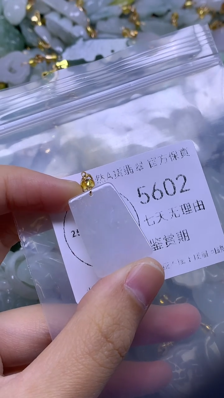 颈饰未镶嵌翡翠1