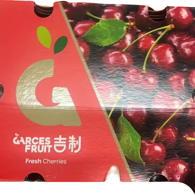 【玲哥】4JD智利海运桑提娜车厘子 净重5斤内附果径卡桑提娜樱桃智利共和国