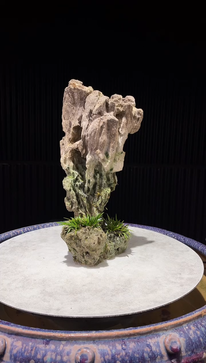 造型吴定石一物一拍专属