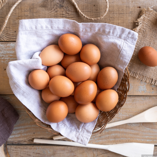 【10枚礼盒装】农村散养土鸡蛋无抗高品质礼盒装