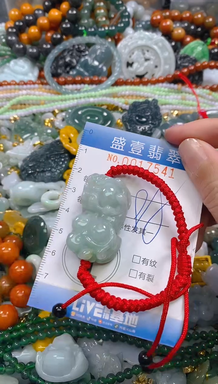 颈饰未镶嵌翡翠闪购0017541