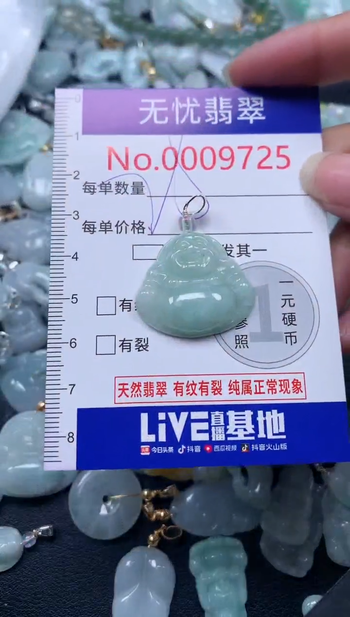 颈饰未镶嵌翡翠9725