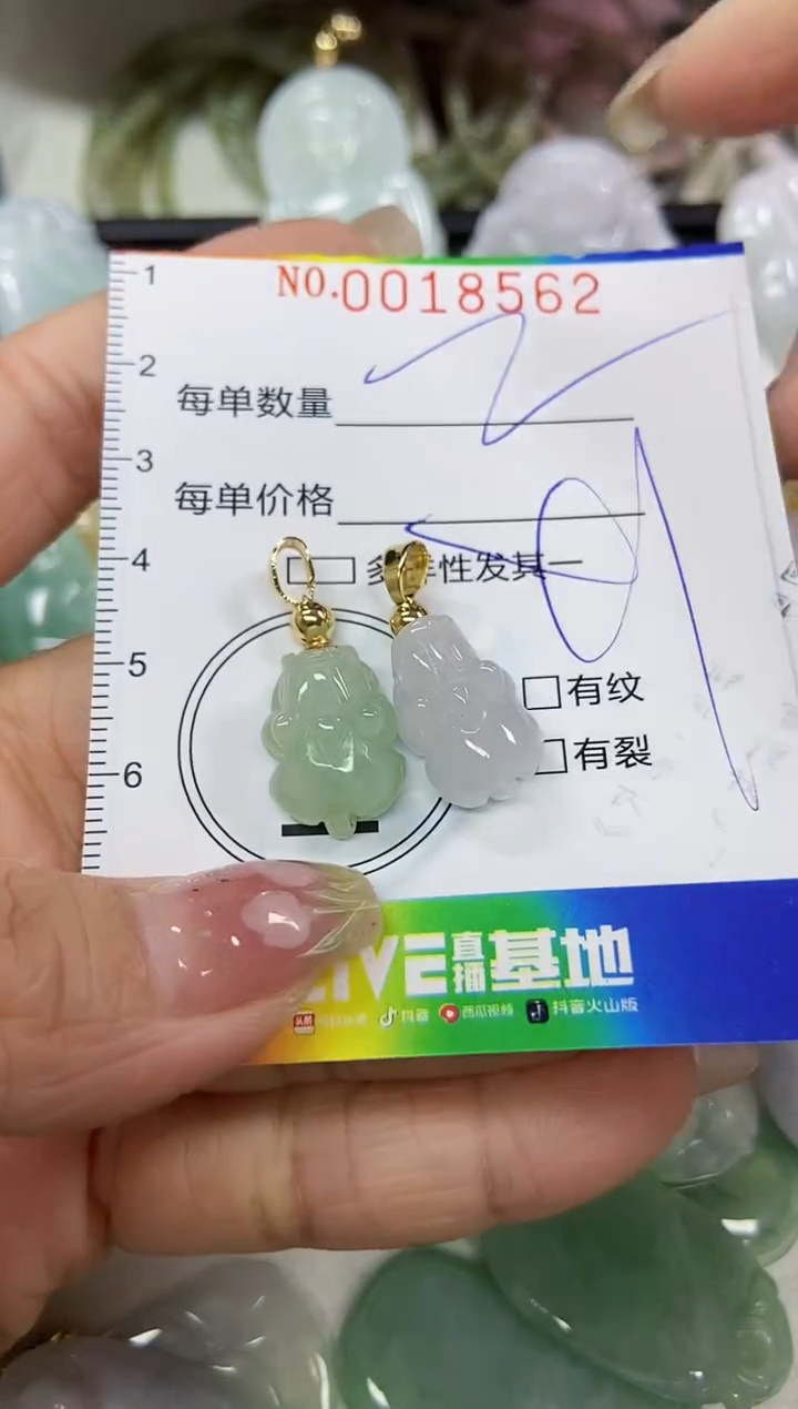 【闪购商品】翡翠颈饰未镶嵌闪购0018562