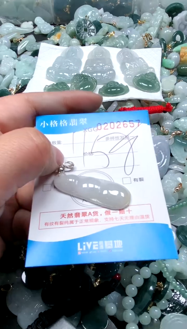 【闪购商品】翡翠颈饰未镶嵌闪购商品0202657