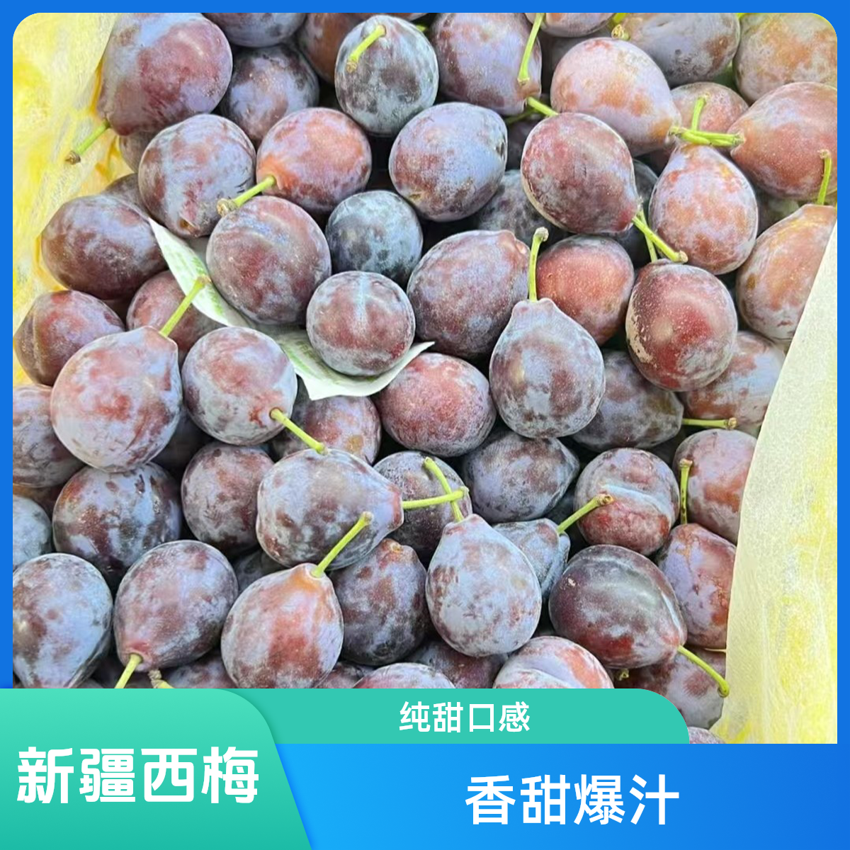 【拉萨小时达】新疆西梅 香甜爆汁 纯甜口感1斤-4斤