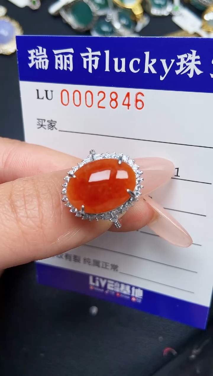 【闪购商品】翡翠颈饰银S925镶嵌2846