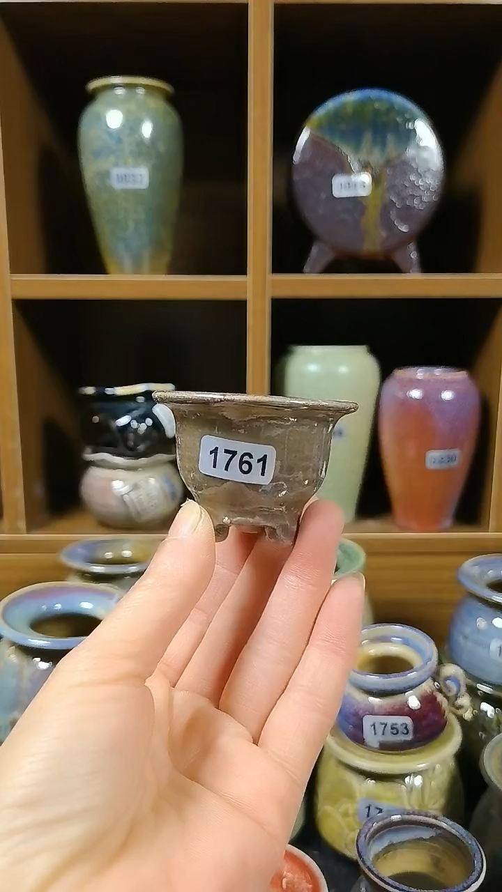 【闪购商品】红陶1761