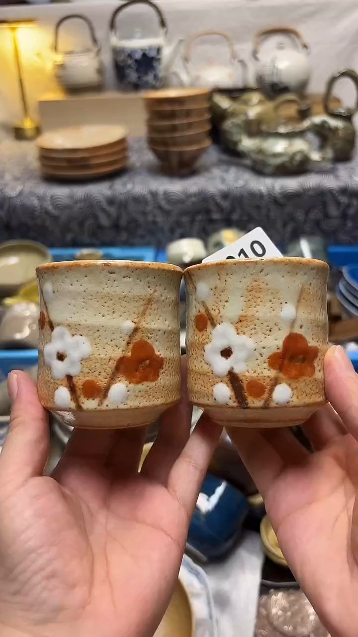 瓷片玫**?喵喵家都是大漂亮