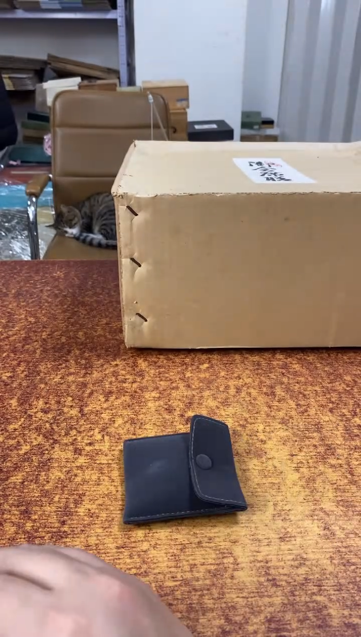 玻璃合金545小林轩欢迎您