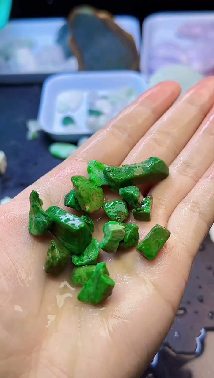 颈饰未镶嵌翡翠026天然A货翡翠