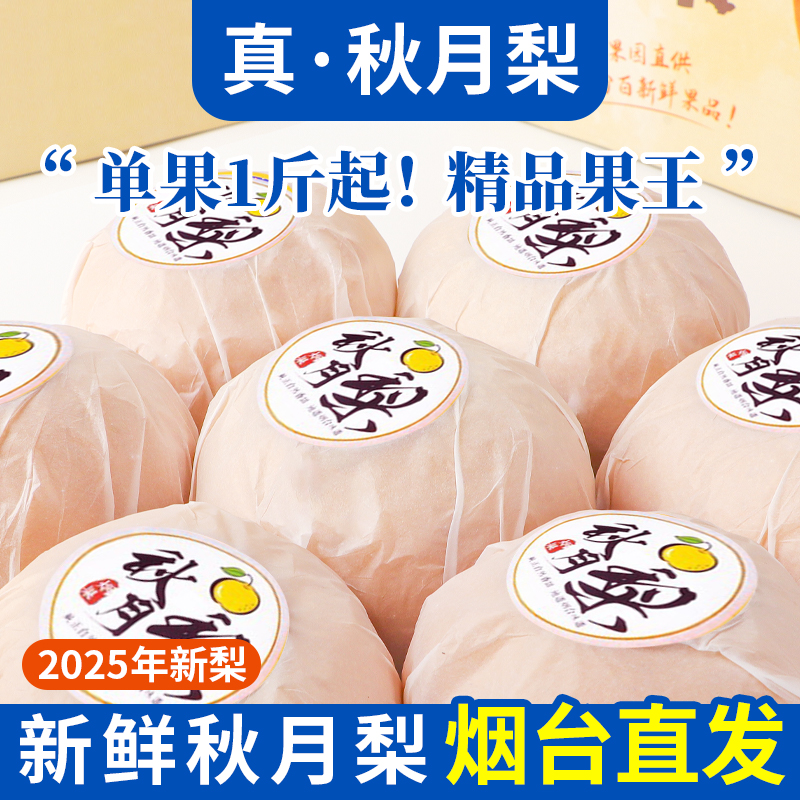 正宗山东秋月梨头茬大果新鲜水果现摘脆甜多汁皮薄