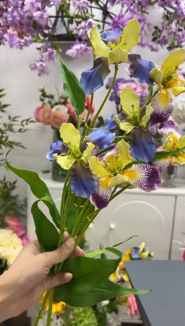 2枝混色鸢尾花花