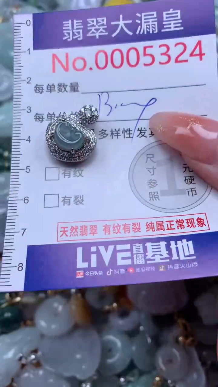 翡翠未镶嵌吊坠(不含链)5324