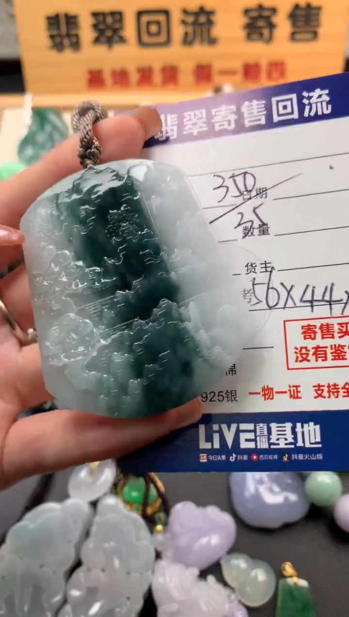 翡翠未镶嵌颈饰10142274