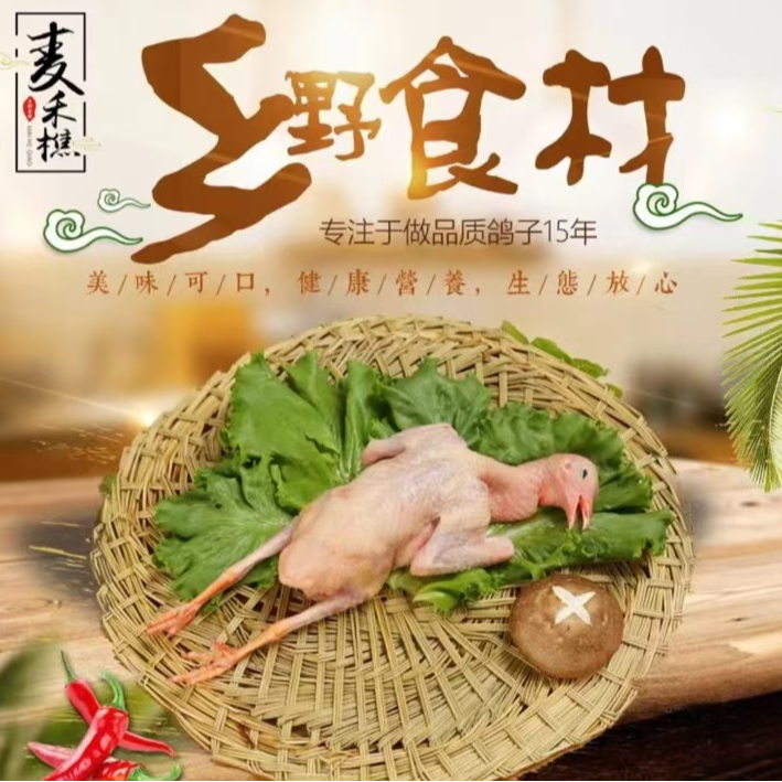 沂蒙山杂粮土鸽子活鸽宰杀顺丰发货4-7两