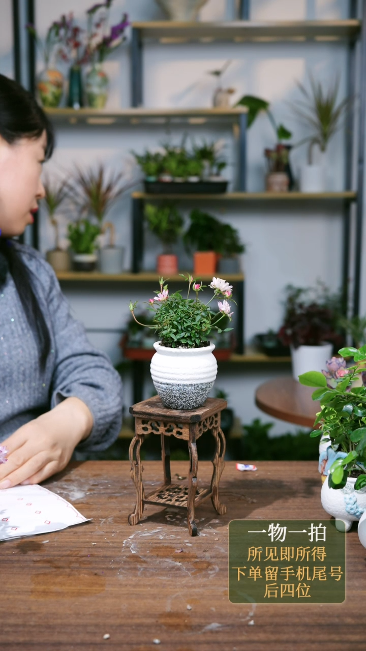 【闪购商品】104--8575月季灰白