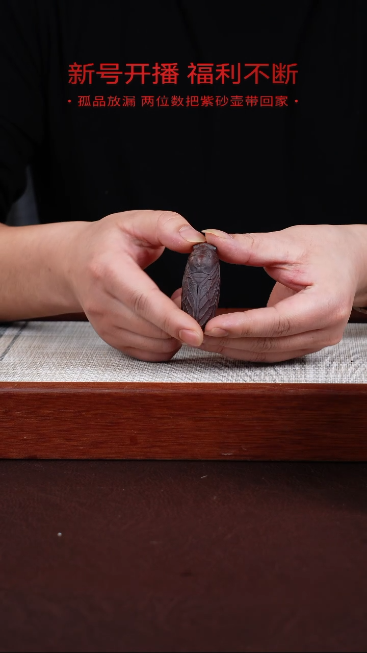 【闪购商品】朱泥茶宠宜兴紫砂壶0120  C1