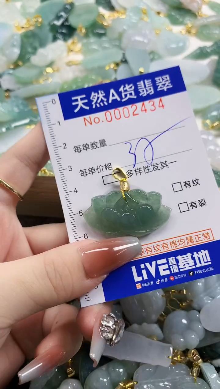 颈饰未镶嵌翡翠天然A货翡翠