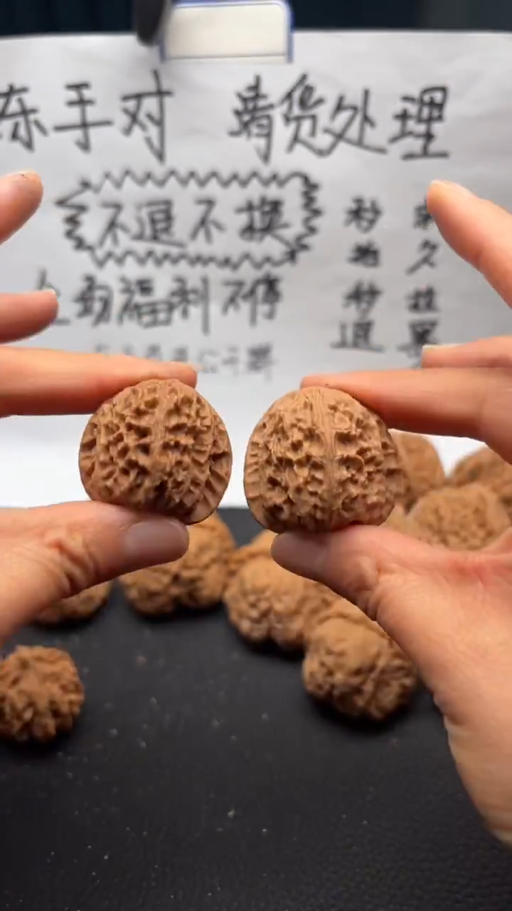 把件文玩核桃287白狮子