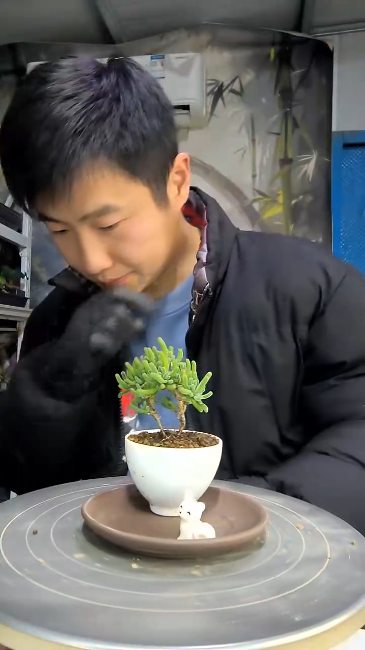 霍*中青园艺一物一拍花275