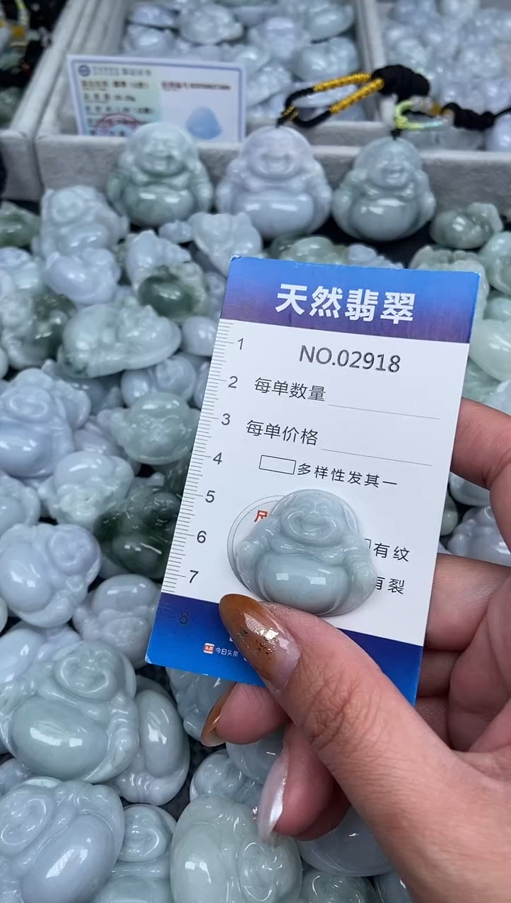 颈饰未镶嵌翡翠纯天然A货翡翠2918