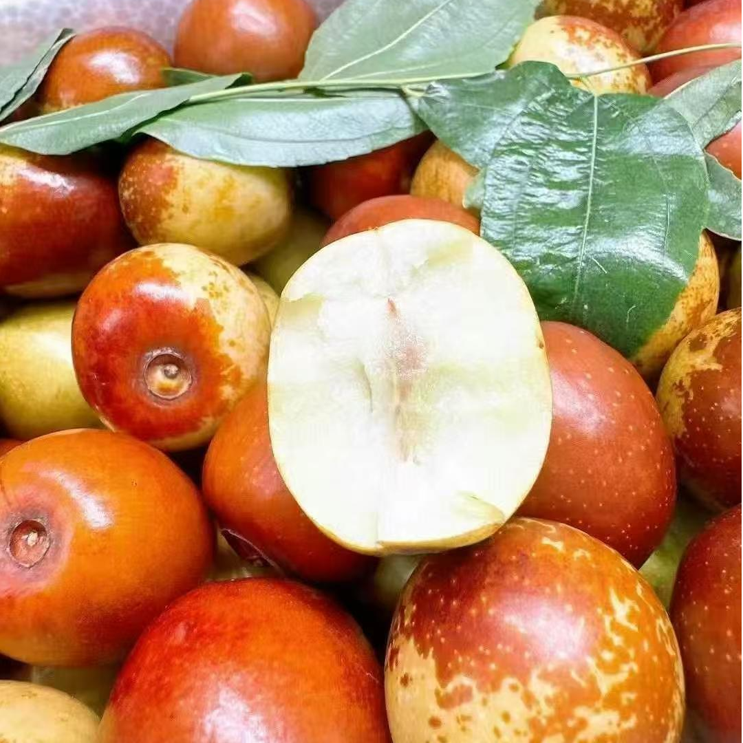 【大荔冬枣】酥 脆 甜 核小 毛重2斤左右包邮到家陕西省