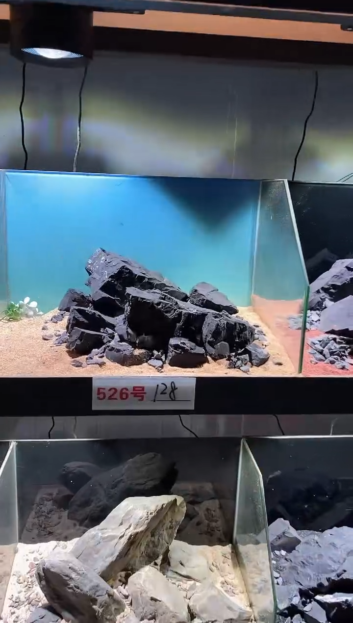 526号鱼缸造景（不含底砂）