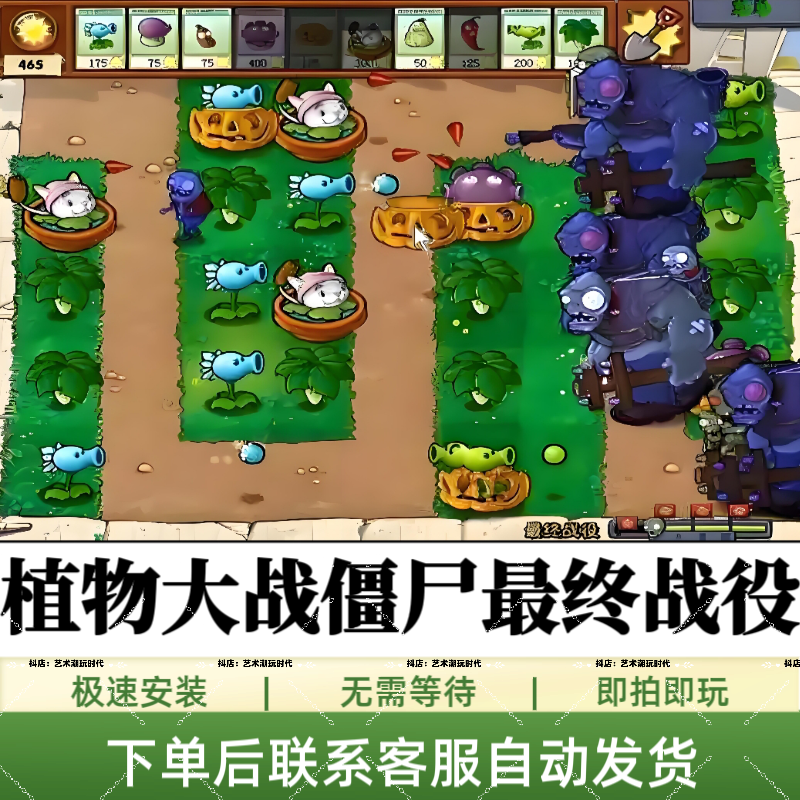 植物大战僵尸塔防版/最终战役仅支持/电脑设备畅玩游戏安装畅玩
