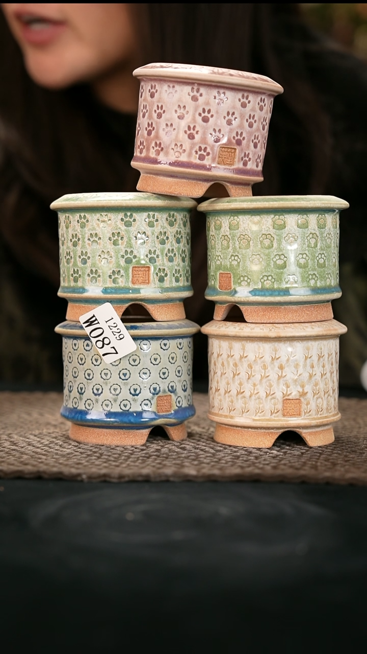 12-29-087花盆口径6混发一个