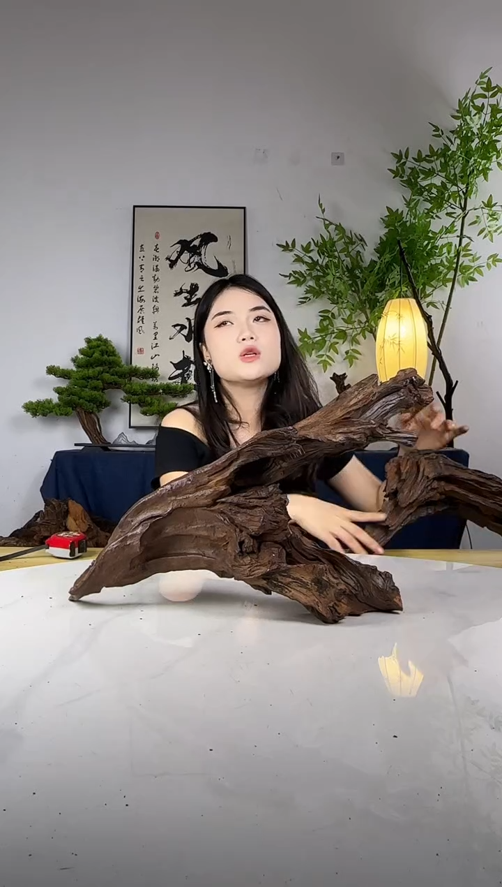 秋****?拍这个定向编号95