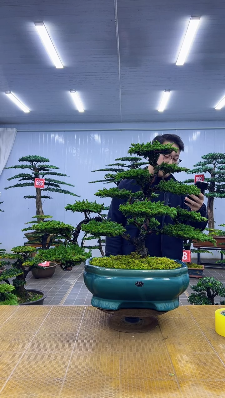 无花朵000000000000000