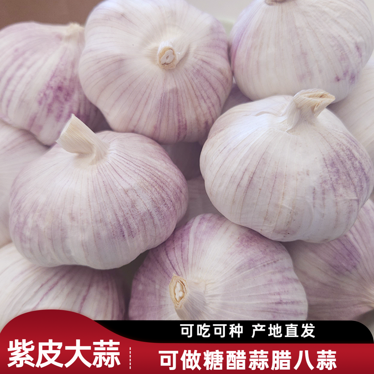 优质紫皮大蒜农家自种蒜香十足可用于糖醋蒜腊八蒜调味精选大果