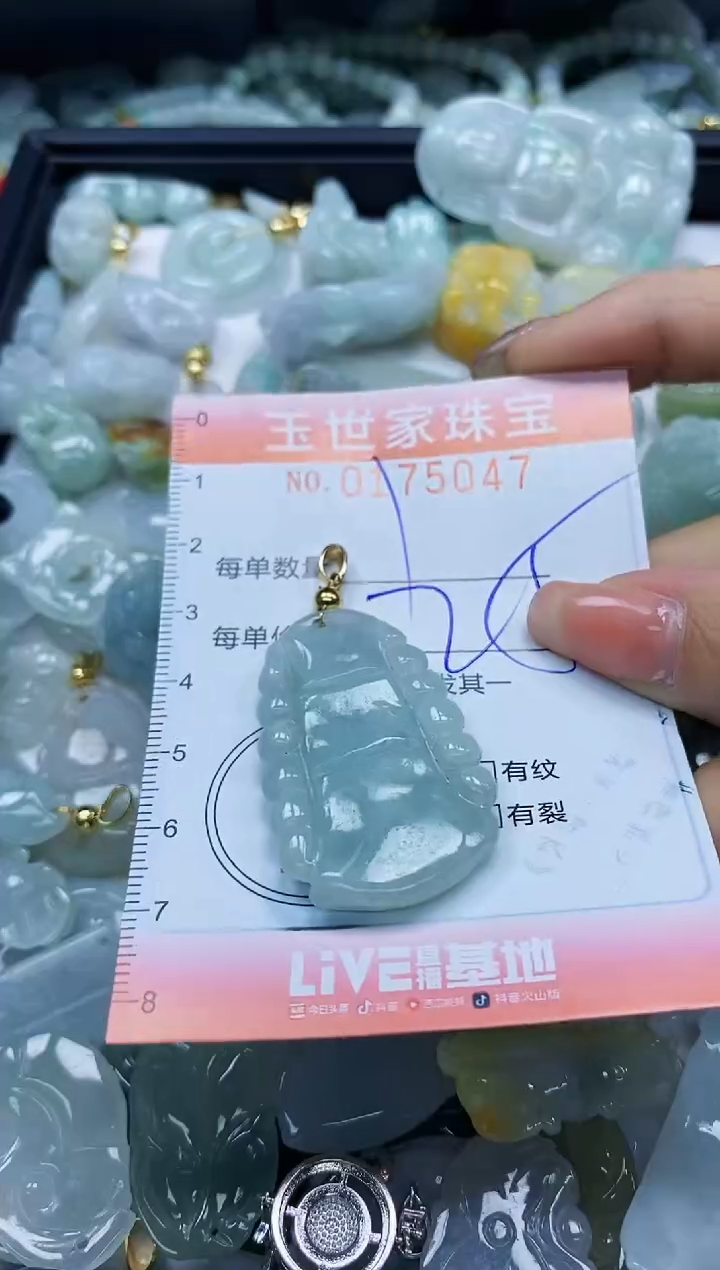 【闪购商品】翡翠颈饰未镶嵌闪购0175047