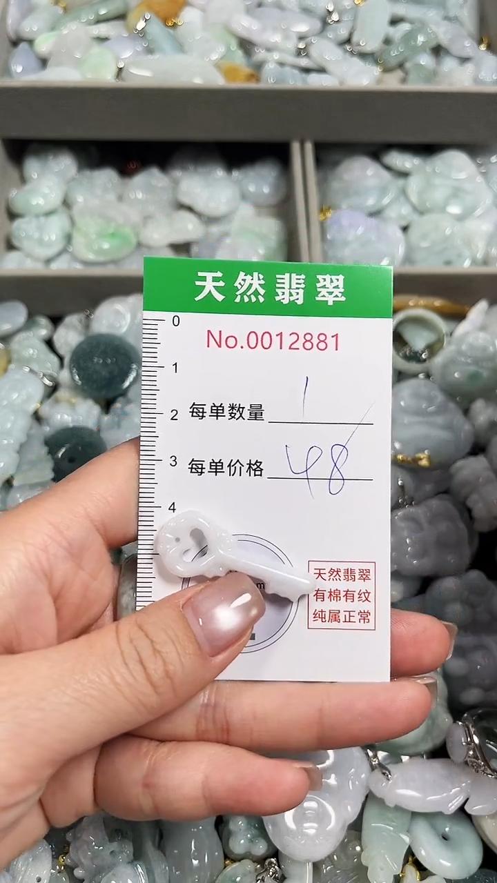 翡翠未镶嵌吊坠(不含链)2881