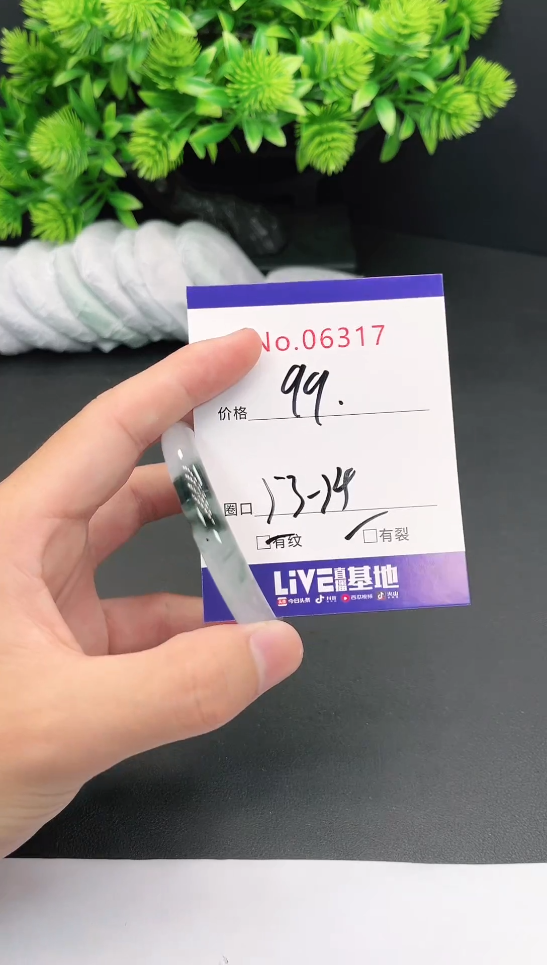 未镶嵌手镯翡翠6317