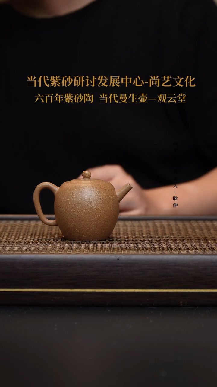茶壶紫砂宜兴紫砂 紫砂壶  FWH 葵黄段