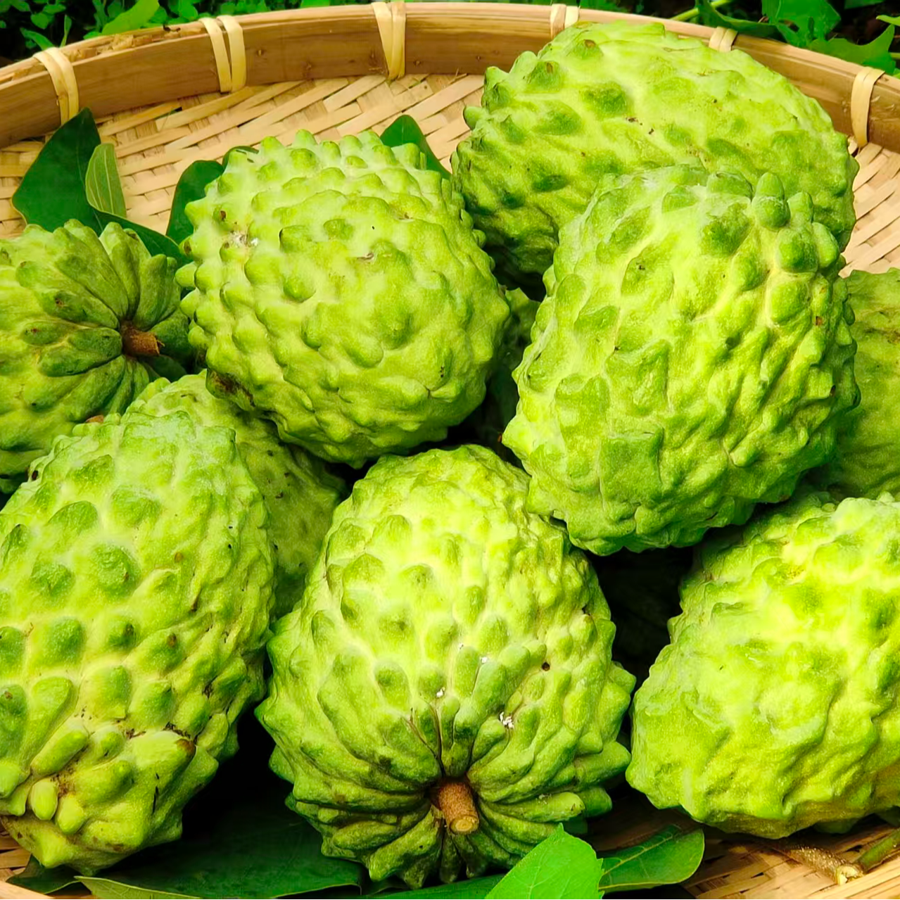 释迦果现摘现发新鲜直达冰激凌般绵密口感3斤普通装（350~450g）