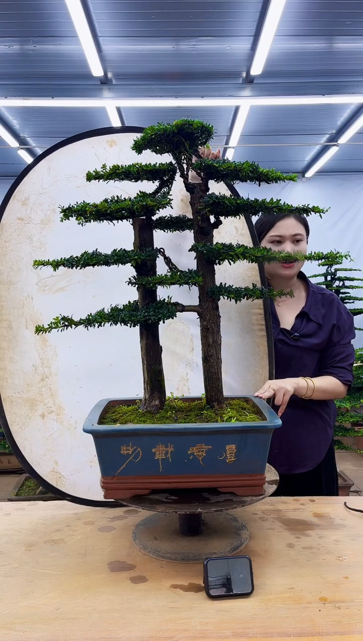 无花朵一物一拍，所见即所得